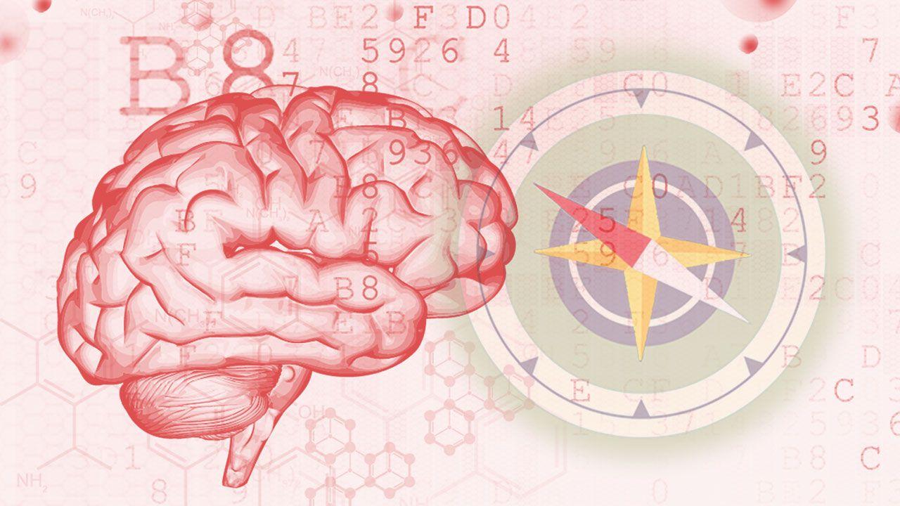 Governo abre edital de R$ 36 milhões para soluções aplicadas de inteligência artificial